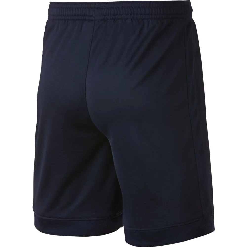 nike dri fit academy shorts junior