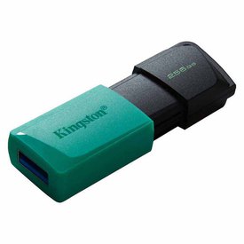 Kingston USB 3.2 256GB Pendrive