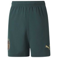 puma-italie-derde-2020-junior-shorts
