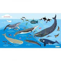 oceanarium-cetaceans-l-handtuch