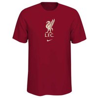 nike-liverpool-fc-21-22-junior-t-shirt
