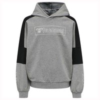 hummel-boxline-hoodie