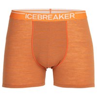 icebreaker-trunk-anatomica