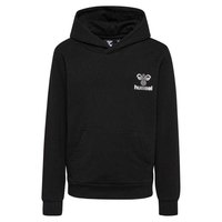 hummel-proud-hoodie