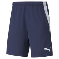 puma-teamliga-2-shorts