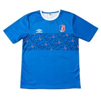 umbro-france-chest-panel-world-cup-2022-kurzarm-t-shirt