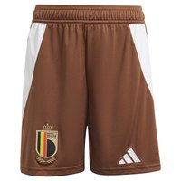 adidas-belgium-23-24-shorts-auswarts