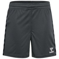 hummel-authentic-pl-shorts