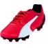 Puma Evospeed 3.3 FG Football Boots