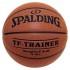 Spalding NBA Trainer Heavy Basketbal Bal