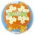Spalding Ibiza Volleyball Ball