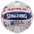 Spalding Australia Volleyball Ball