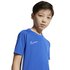 Nike Dri-Fit Academy Kurzarm T-Shirt