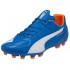 Puma Evospeed 3.4 Leather AG Football Boots