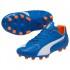 Puma Evospeed 3.4 Leather AG Football Boots