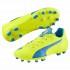 Puma Evospeed 4.4 AG Football Boots