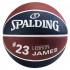 Spalding NBA LeBron James Basketbal Bal