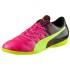 Puma Evopower 4.3 IT Indoor Football Shoes
