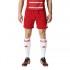 adidas Short Classic 3 Stripes Rugby
