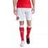 Puma AFC Shorts With Innerslip