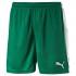 Puma Pantalones Cortos Pitch Without Innerbrief