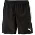 Puma Pitch Pantalones Cortos Without Innerbrief