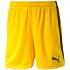 Puma Pitch Without Innerbrief Short Pants