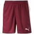 Puma Pitch Without Innerbrief Shorts