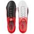 Puma Chaussures Football Evospeed 1.5 Cuir AG