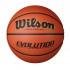 Wilson Ballon Basketball Evolution