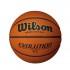 Wilson Ballon Basketball Evolution DBB 275 Game Youth