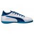 Puma Evotouch 3 It Jr Indoor Football Shoes