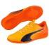 Puma Evospeed 17.5 It Indoor Football Shoes