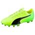 Puma Evospeed 17.2 AG Football Boots