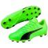 Puma Evopower Vigor 3 Leather AG Football Boots
