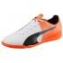 Puma EvoSpeed 5.5 IT Indoor Football Shoes