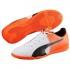 Puma EvoSpeed 5.5 IT Indoor Football Shoes