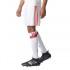 adidas FC Bayern Munich Shorts