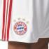 adidas FC Bayern Munich Shorts