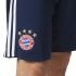 adidas FC Bayern Munich Training Shorts Wb