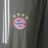 adidas FC Bayern Munich UCL Woven Pants