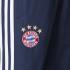 adidas FC Bayern Munich Woven Pants Junior