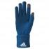 adidas Juventus Gloves