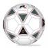 Le coq sportif AS Saint Etienne Football Ball