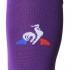 Le coq sportif Fiorentina Socks