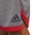 adidas Ball 365 Reversible Short Pants