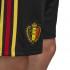 adidas Belgium Training Shorts