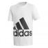 adidas Essentials Big Logo Short Sleeve T-Shirt