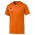Puma Liga Core Short Sleeve T-Shirt
