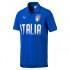 Puma FIGC Italia Fanwear Kurzarm Poloshirt